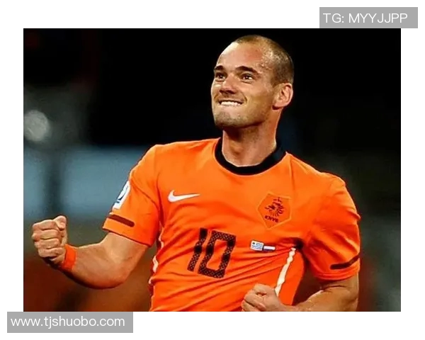 荷兰足球传奇范某的职业生涯回顾与个人成就分析